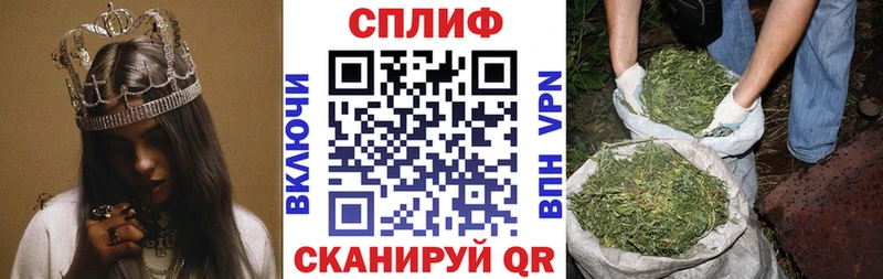 Конопля ГИДРОПОН  закладка  Костерёво 